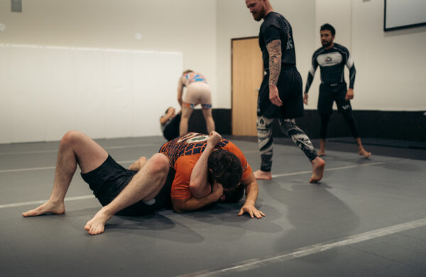 Adult - All Levels Evening
